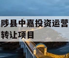武陟县中嘉投资运营债权转让项目