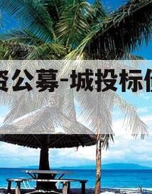 国资公募-城投标债资管
