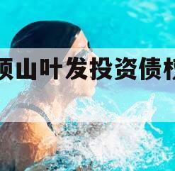 平顶山叶发投资债权资产