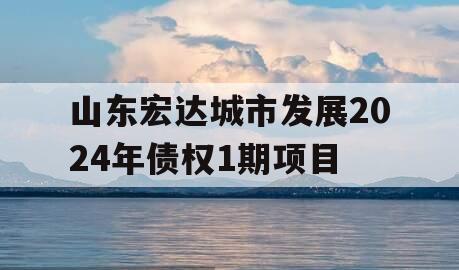 山东宏达城市发展2024年债权1期项目