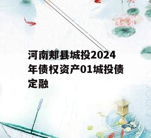 河南郏县城投2024年债权资产01城投债定融
