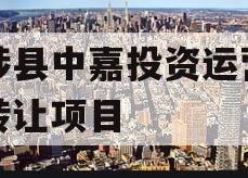 武陟县中嘉投资运营债权转让项目