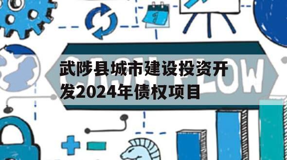 武陟县城市建设投资开发2024年债权项目