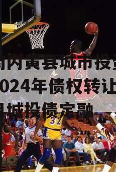 河南内黄县城市投资开发2024年债权转让项目城投债定融
