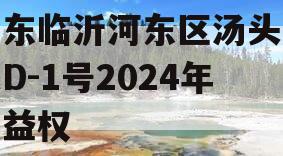 山东临沂河东区汤头温泉D-1号2024年收益权