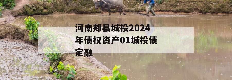 河南郏县城投2024年债权资产01城投债定融