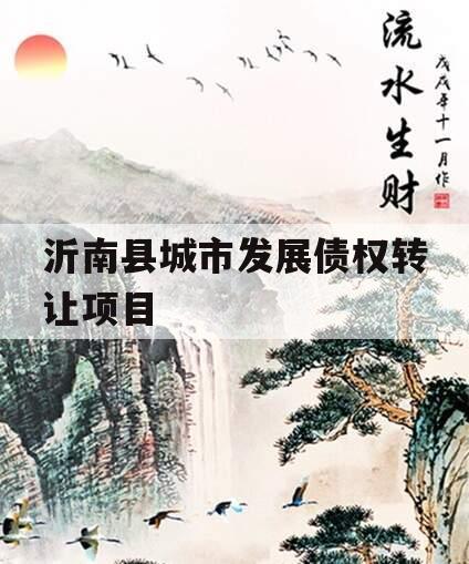 沂南县城市发展债权转让项目