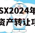 ZYSX2024年债权资产转让项目