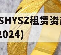 JSHYSZ租赁资产(2024)