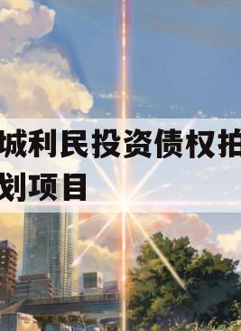 邹城利民投资债权拍卖计划项目