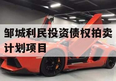 邹城利民投资债权拍卖计划项目