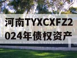 河南TYXCXFZ2024年债权资产