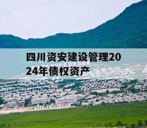 四川资安建设管理2024年债权资产