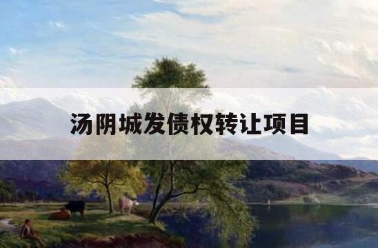 汤阴城发债权转让项目