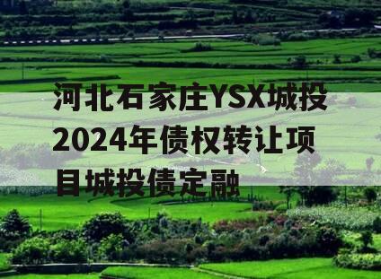 河北石家庄YSX城投2024年债权转让项目城投债定融