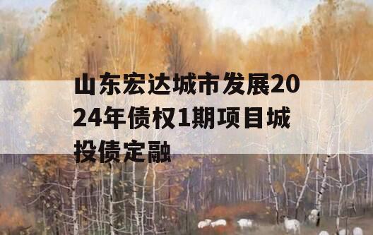 山东宏达城市发展2024年债权1期项目城投债定融