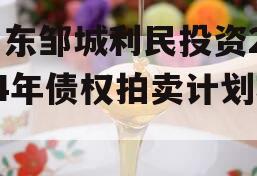 山东邹城利民投资2024年债权拍卖计划项目 山东邹城利民投资2024年债权拍卖计划项目