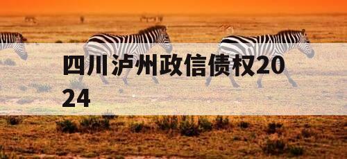 四川泸州政信债权2024