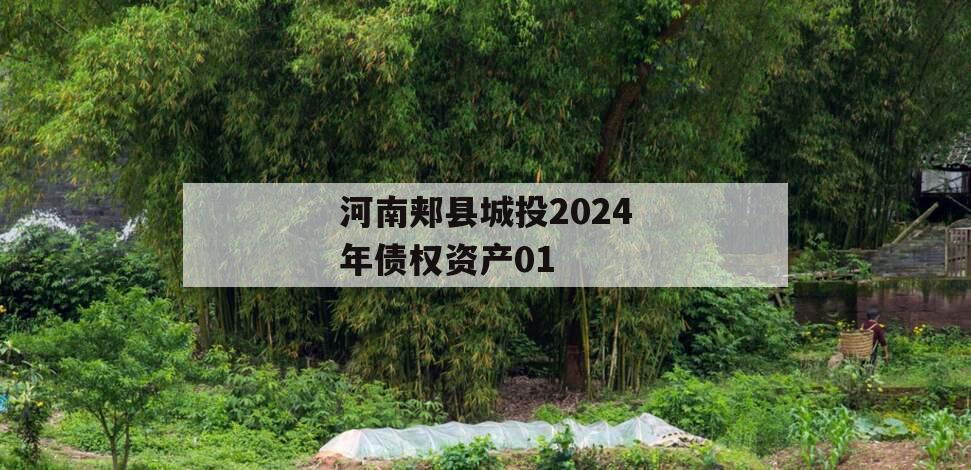 河南郏县城投2024年债权资产01