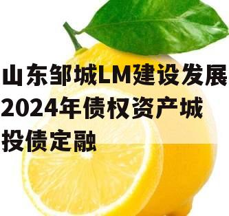 山东邹城LM建设发展2024年债权资产城投债定融