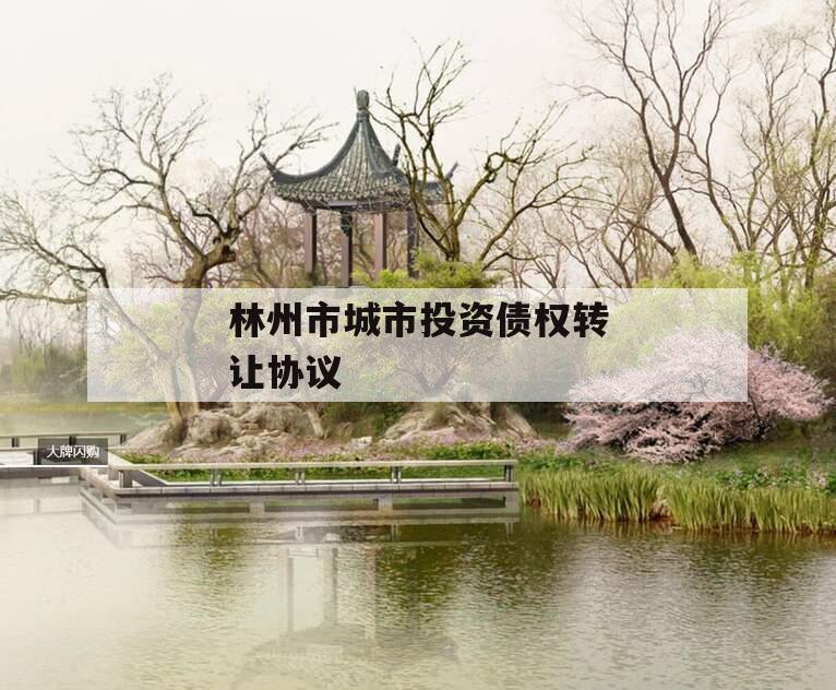 林州市城市投资债权转让协议