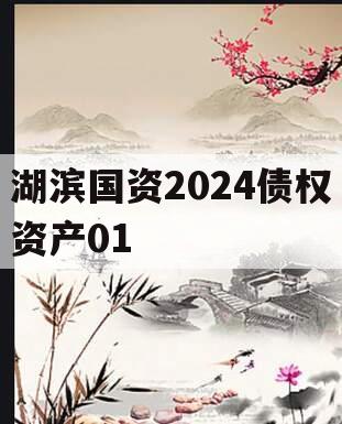 湖滨国资2024债权资产01