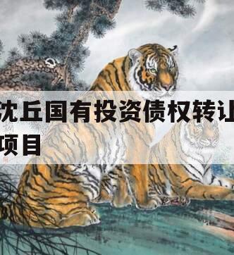 沈丘国有投资债权转让项目