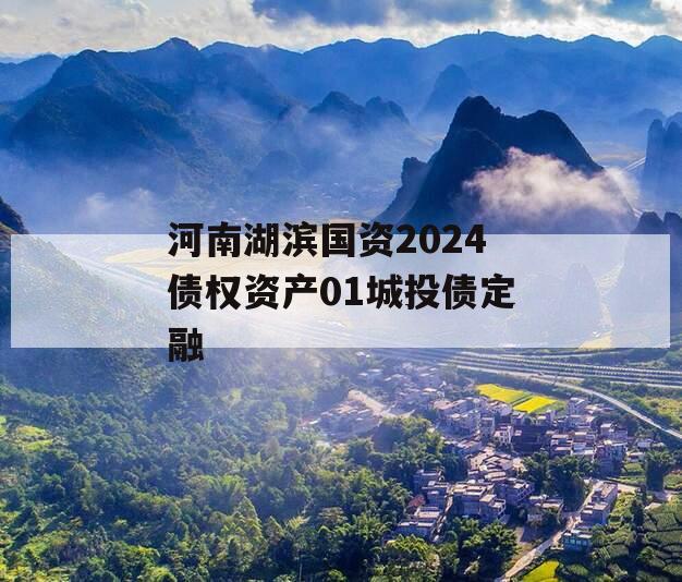 河南湖滨国资2024债权资产01城投债定融