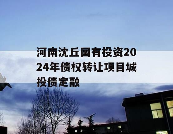 河南沈丘国有投资2024年债权转让项目城投债定融