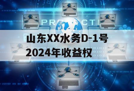 山东XX水务D-1号2024年收益权