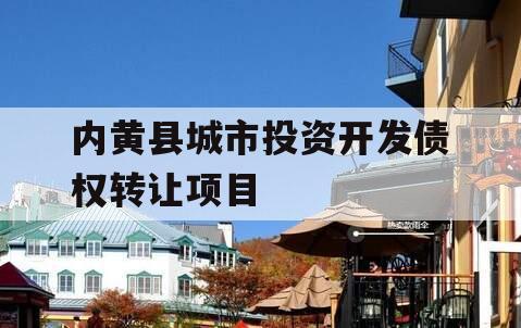 内黄县城市投资开发债权转让项目
