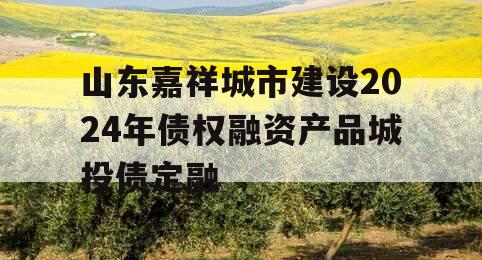 山东嘉祥城市建设2024年债权融资产品城投债定融