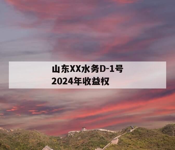 山东XX水务D-1号2024年收益权