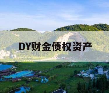 DY财金债权资产