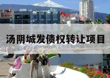 汤阴城发债权转让项目