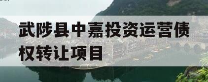 武陟县中嘉投资运营债权转让项目