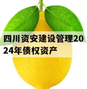 四川资安建设管理2024年债权资产