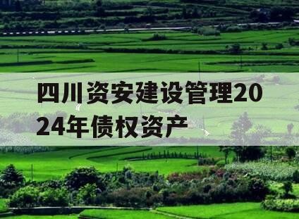 四川资安建设管理2024年债权资产