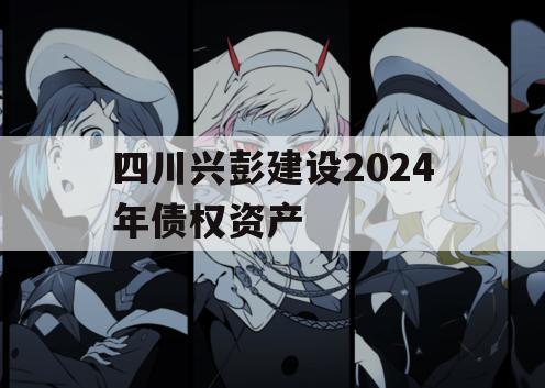 四川兴彭建设2024年债权资产