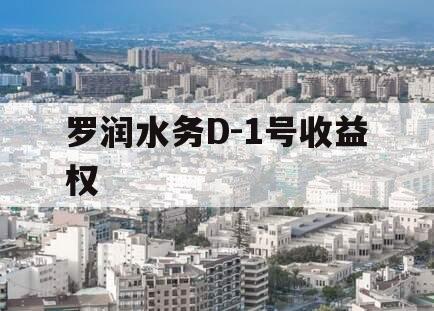 罗润水务D-1号收益权