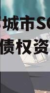 山东邹城市SCWL2024年债权资产拍卖二期