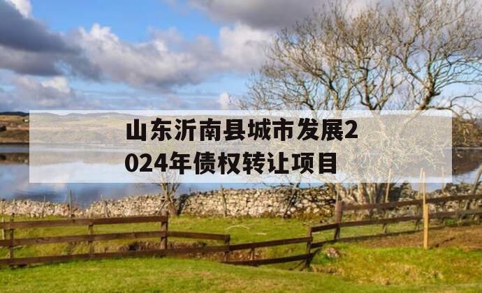 山东沂南县城市发展2024年债权转让项目