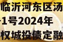 山东临沂河东区汤头温泉D-1号2024年收益权城投债定融