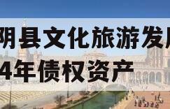 汤阴县文化旅游发展2024年债权资产