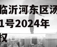 山东临沂河东区汤头温泉D-1号2024年收益权