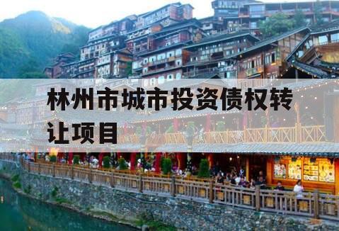 林州市城市投资债权转让项目