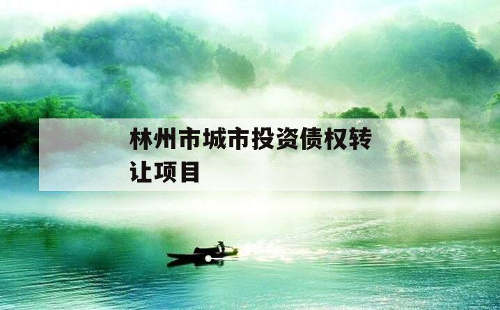林州市城市投资债权转让项目
