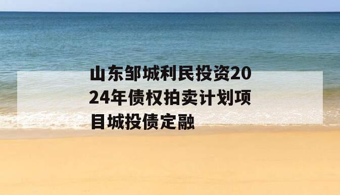 山东邹城利民投资2024年债权拍卖计划项目城投债定融