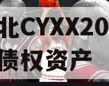湖北CYXX2024年债权资产