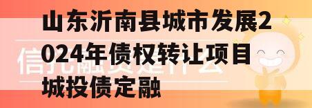 山东沂南县城市发展2024年债权转让项目城投债定融